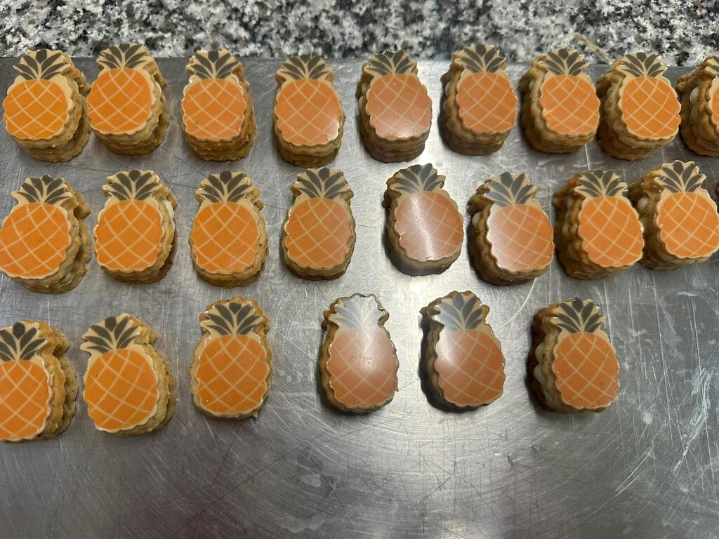 WhatsApp Image 2026-03-06 at 14.29.42(1)