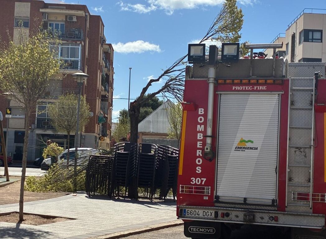 WhatsApp Image 2026-03-29 at 14.35.09