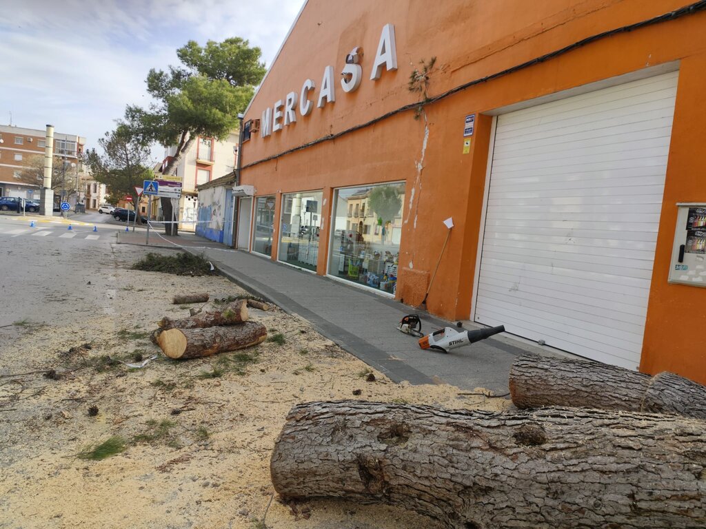 Image 2026-04-07 (5)