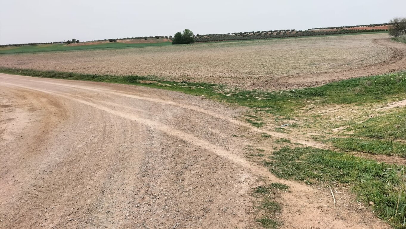 WhatsApp Image 2026-04-11 at 10.58.31