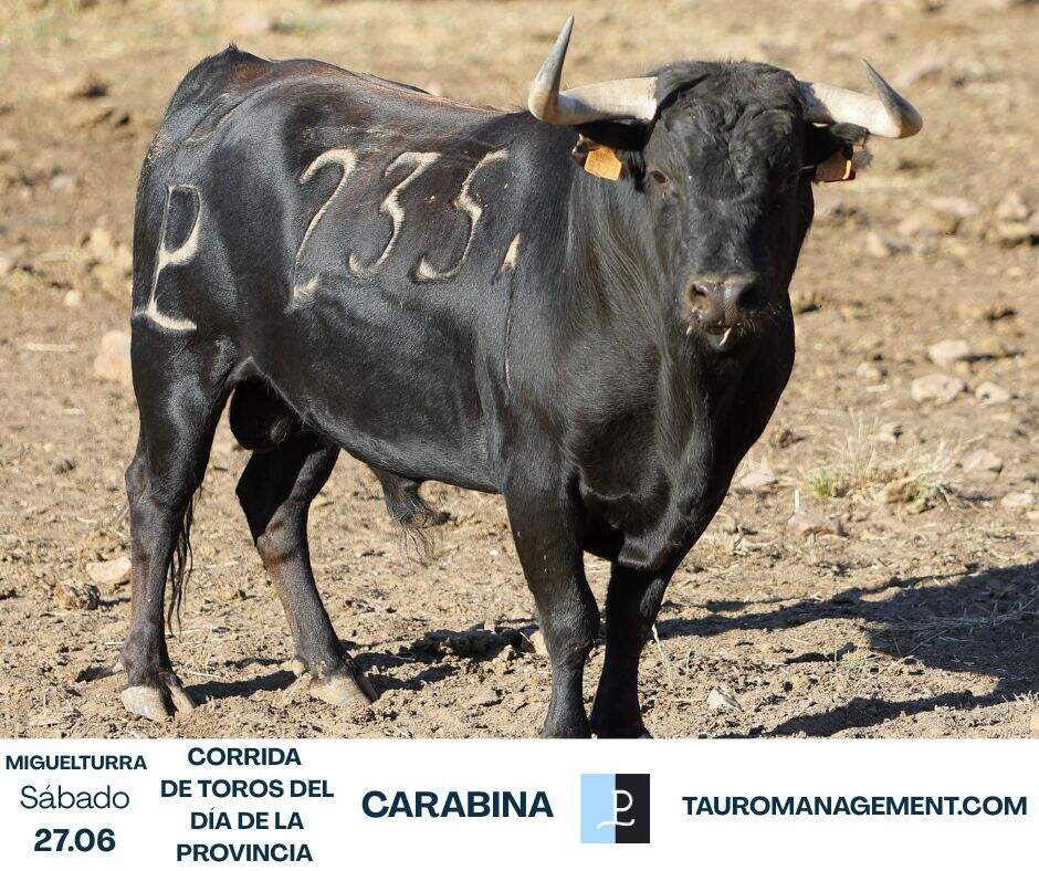 c3ae5373-99f4-0ca9-05c9-337384815b5d