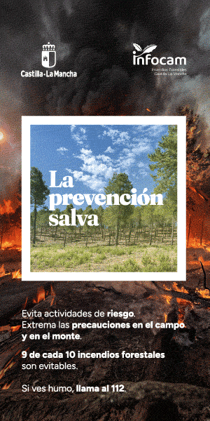 Publicidad 251555