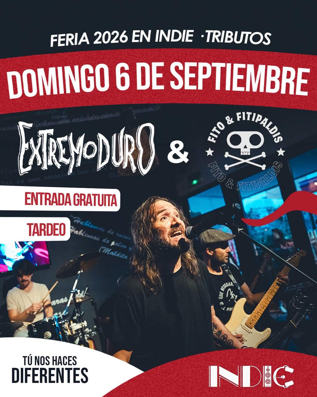 DOMINGO 6